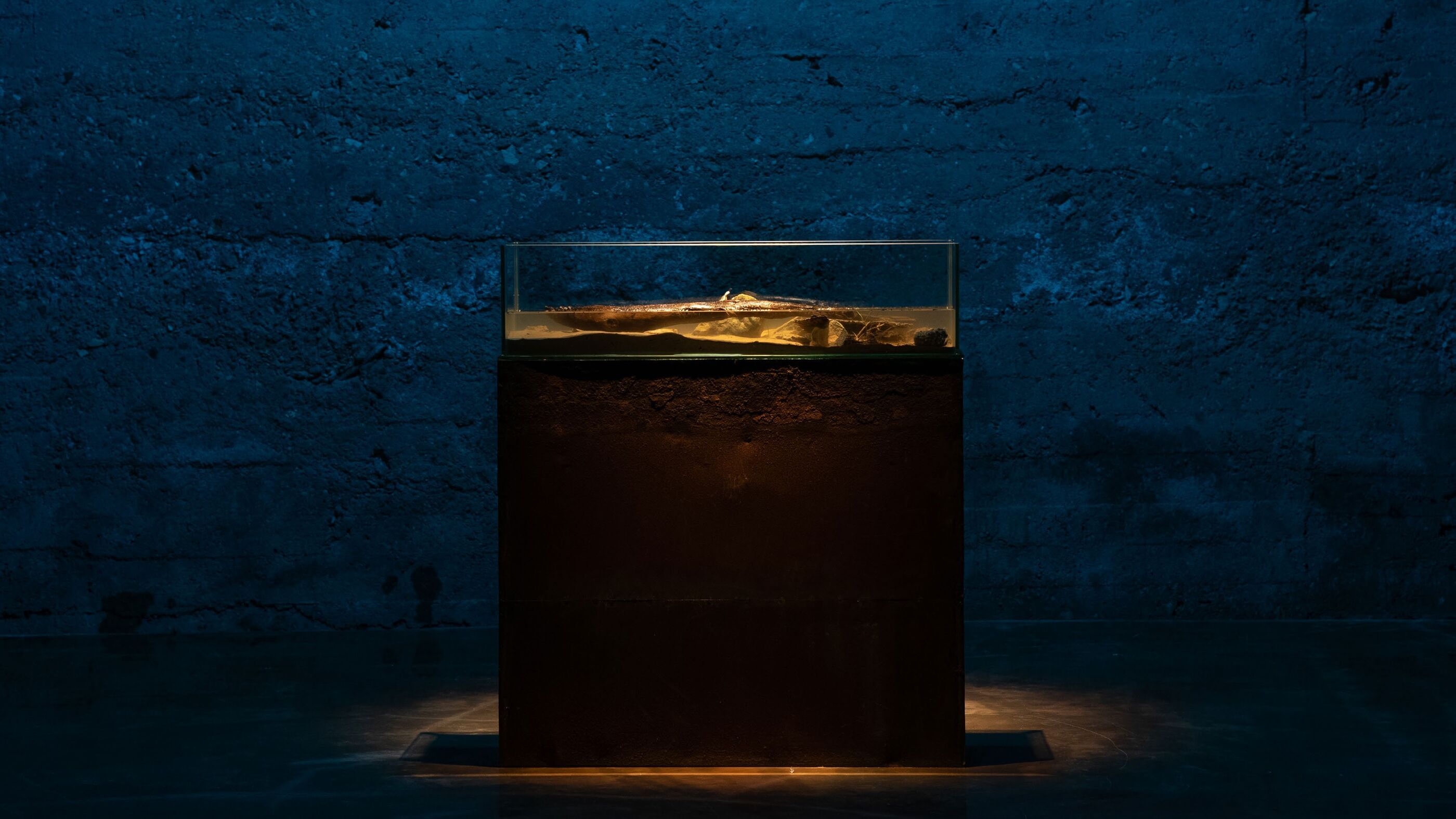 Glass display case on a dark rusted pedestal against a blue-lit concrete wall, containing an elongated pale object laid in sand