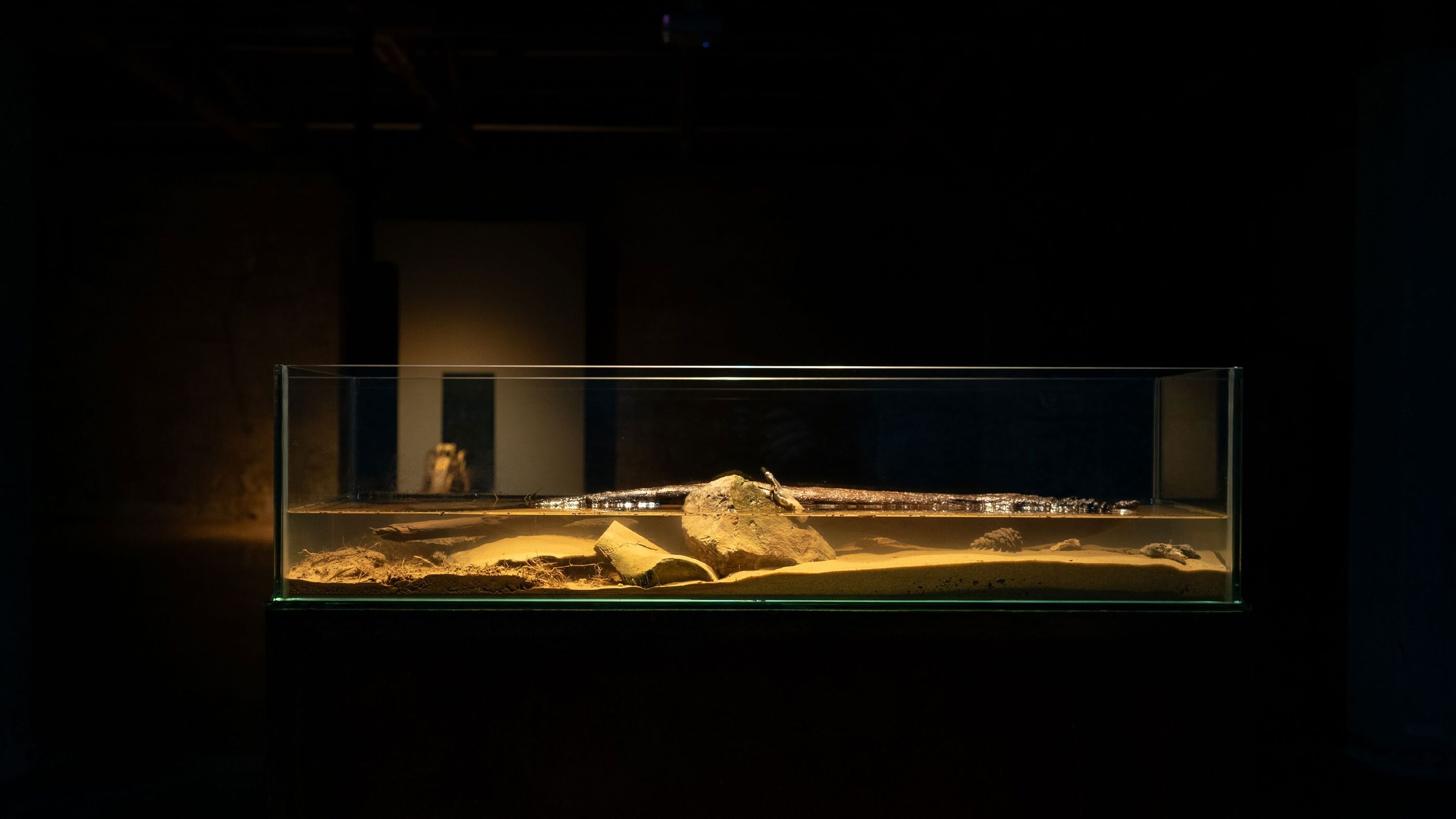 Glass display case lit from within, containing a metallic elongated object resting on sand with rocks, in a dark room
