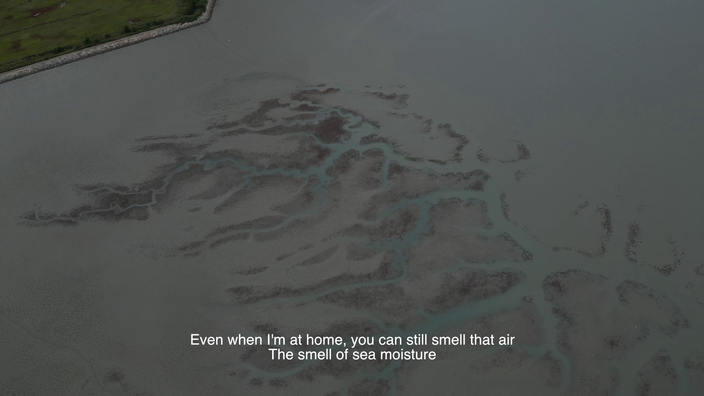 Video still of an aerial view of tidal mudflats with branching water channels, subtitle text reading 'Even when I'm at home, you can still smell that air, the smell of sea moisture'