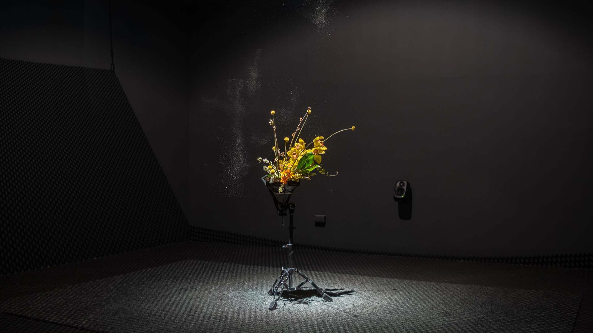 Dark studio installation view of a floral arrangement mounted on a microphone stand, surrounded by acoustic foam panels and a wall-mounted speaker