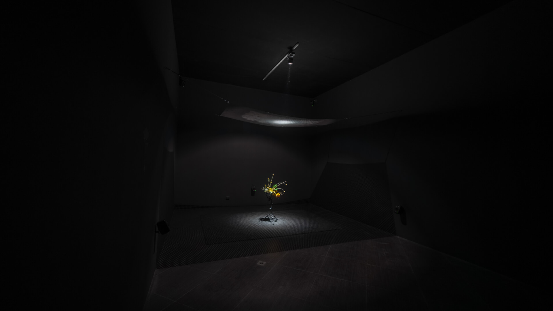 Dark gallery installation view of a floral arrangement lit on a stand beneath a suspended mesh screen and spotlight