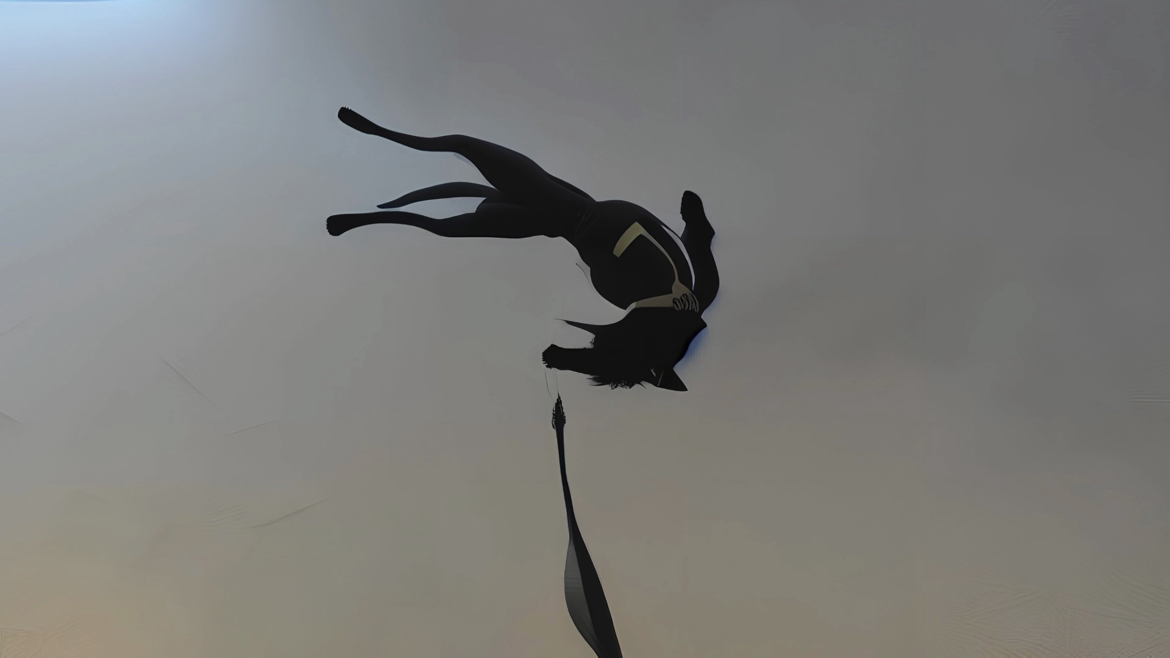 Video still, silhouette of a dog upside down against a hazy sky, tethered by a leash below
